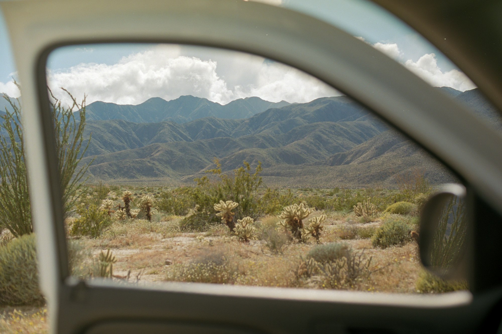 Cholla cactus and desert mountains seen through a vintage car window